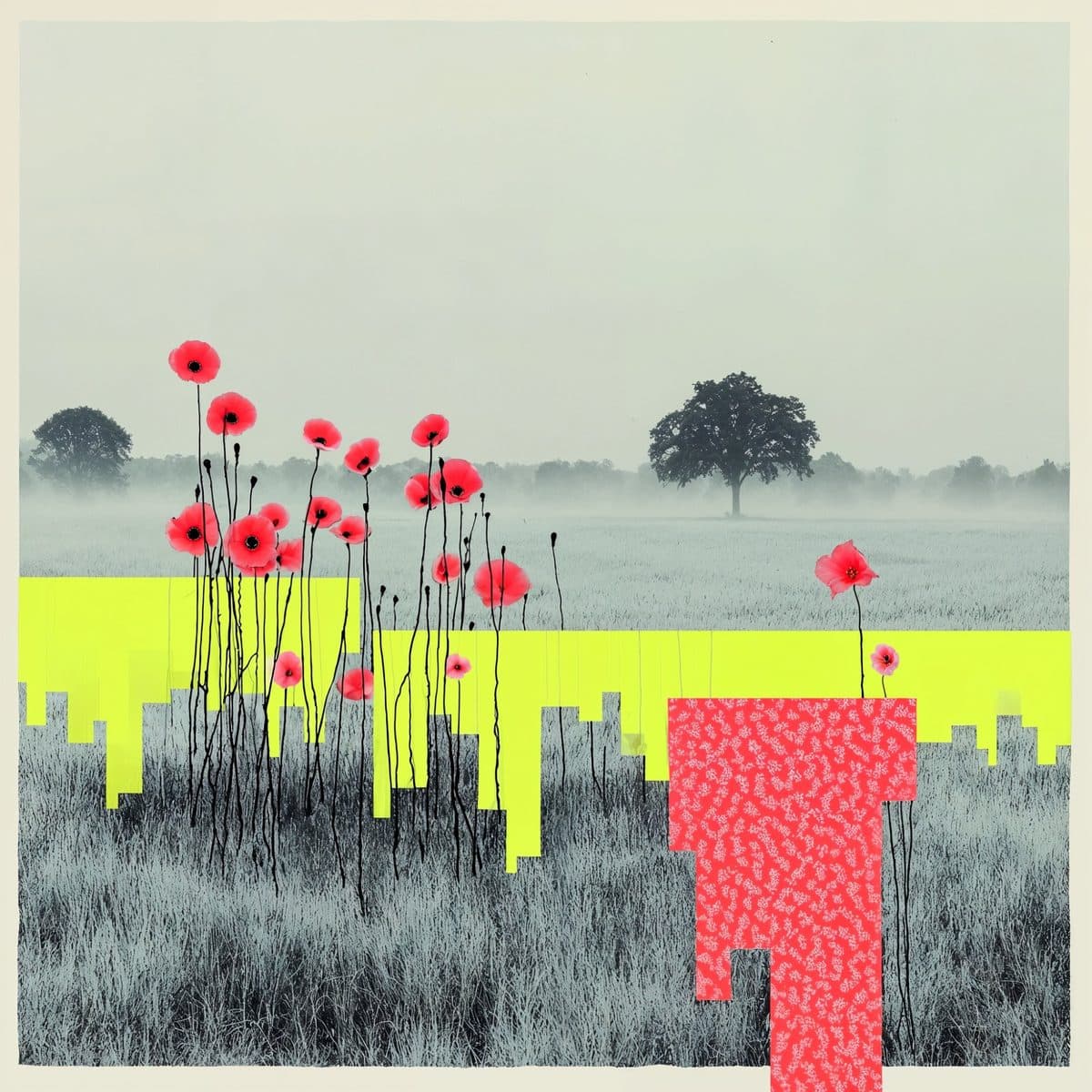 ...late bloomers... by Vaila My